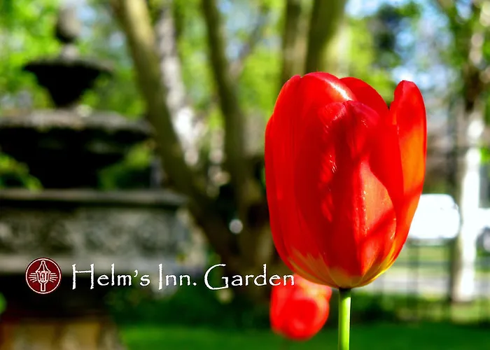 Helm\'S Inn